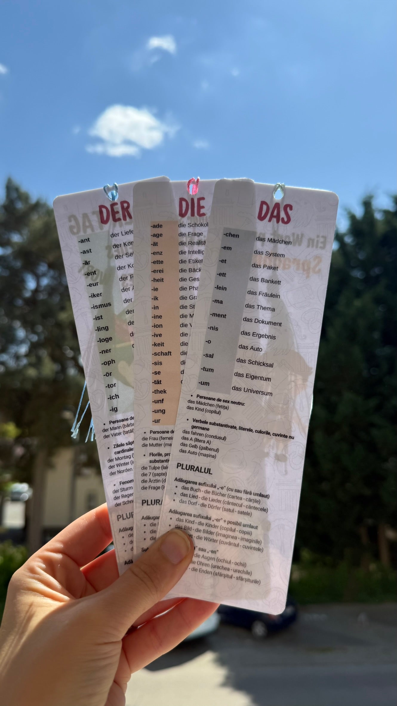 Semne de Carte Educaționale – (Der/Die/Das, Plural, Vocabular)